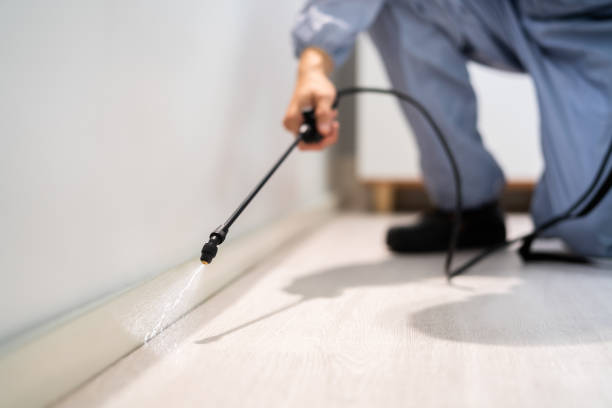Licensed Pest Control service in Breckenridge, TX - Show Me Pest Control